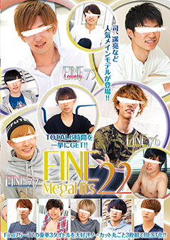 Fine Mega Hits 22