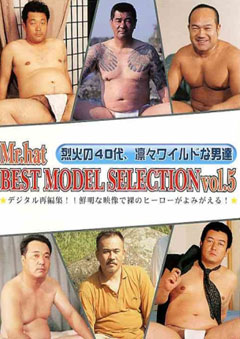 BEST MODEL SELECTION vol.5