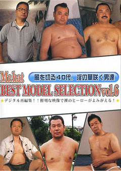 BEST MODEL SELECTION vol.6