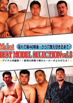 BEST MODEL SELECTION vol.8