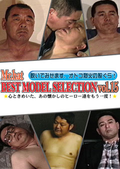 BEST MODEL SELECTION Vol.15