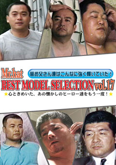 BEST MODEL SELECTION Vol.17