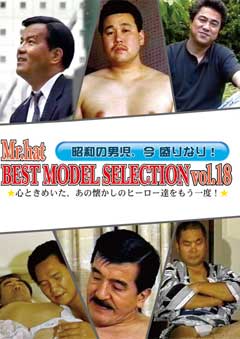 BEST MODEL SELECTION Vol.18