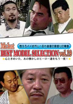 BEST MODEL SELECTION Vol.19