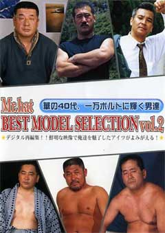 BEST MODEL SELECTION Vol.2