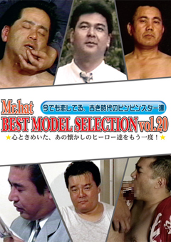 BEST MODEL SELECTION Vol.20