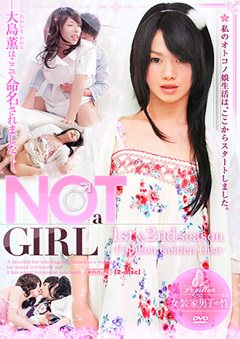 Papillon GOLDEN DISC 001