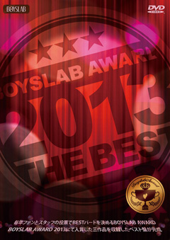 BOYSLAB AWARD 2013 THE BEST